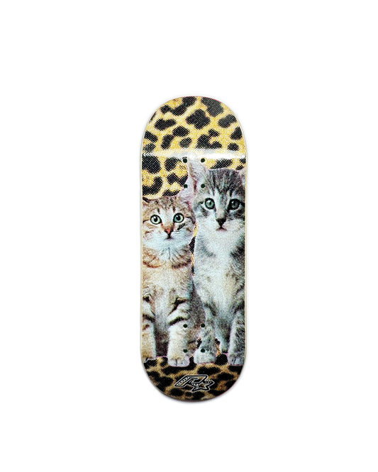 Katz Cheeta